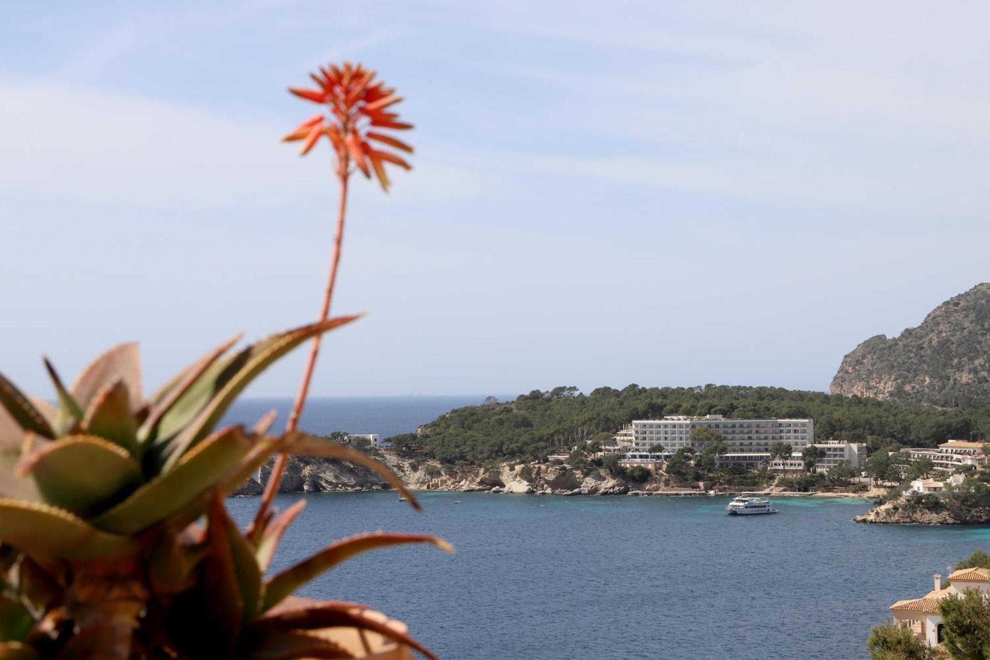 Aldea 2 Cala Fornells Apartment Peguera Bagian luar foto